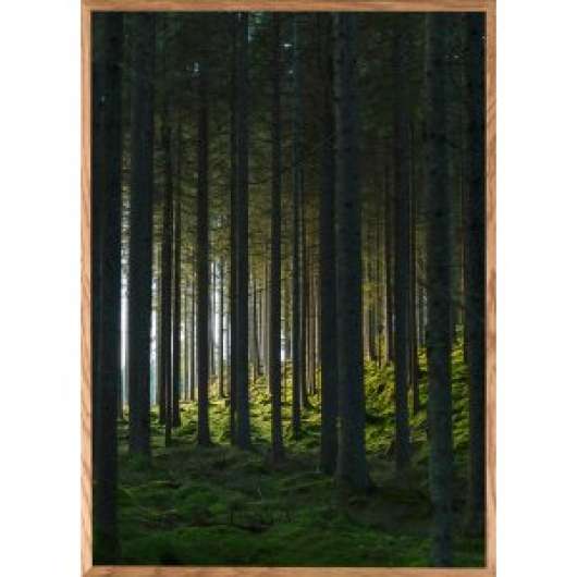 Poster - Woods - 21x30 cm - Posters, Väggdekor