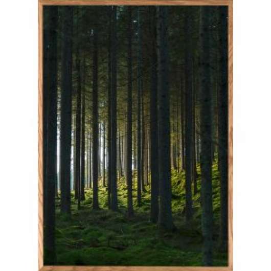 Poster - Woods - 21x30 cm